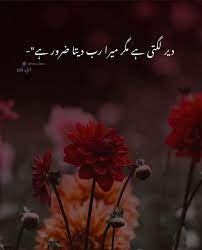 Pin By Maheen Ali On Some True Lines In 2021 Plants Flowers Dandelion