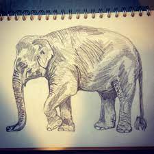 Pin On Elephants Drawings