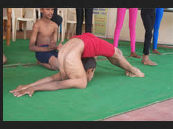 Ozone Yoga Coimbatore School College Coaching Tuition Hobby Classes Of Yoga Beginner Course And Naturopathy And Yoga Science Graduate Course