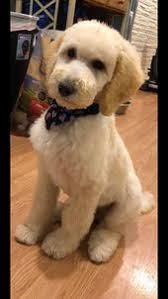 Connie Lemke (lemkec)