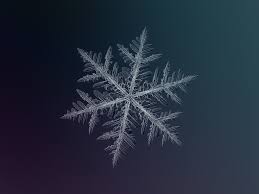 12 Stunning Snowflake Photos You Won T Believe Were Taken By An Amateur Photographer Pbs Newshour Polish your personal project or design with these snowflakes transparent png images, make it even more personalized and more attractive. 12 stunning snowflake photos you won t