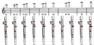 Unique Piccolo Finger Chart All Notes Instrument Fingering