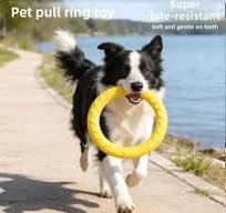 nylon dog frisbees - TikTok Shop