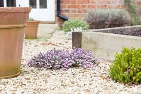 Image result for Hebe