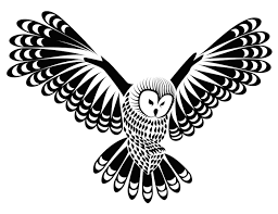 Coktak 46 sheets large skull maori warrior temporary tattoos for men, realistic tiger owl flower temporary tattoos for women, tiny kids tattoos temporary, tribal armband arm neck face tatoos stickers. Owl Tattoo Meaning Tattoos With Meaning