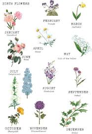 Items Similar To Handpainted Birth Flower Name Sign Birth Flower Birth Stone Birth Tree New Baby Nursery In 2020 Birth Flowers Birth Month Flowers Birth Flower Tattoos