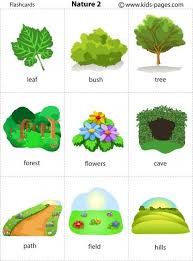 Nature 2 Flashcard English Vocabulary English Language Learning Flashcards