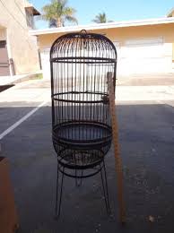 Bird Cage For Sale Craigslist Bird Cage Bird Cage Bird Cages Cage