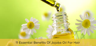 Jojoba oil has several benefits, including promoting hair growth by nurturing the scalp. 11 Essential Benefits Of Jojoba Oil For Hair Health Food Store Australia Natural Health Products
