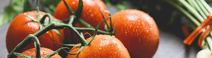 Translation Services Agrolingua Translation Dutch Get A Quote