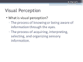 Visual Perception and Cognition - ppt download