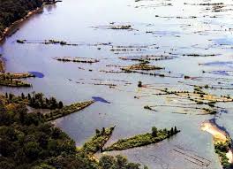 A ghost ship fleet, described as the largest group of mallows bay shipwreck graveyard, nature reclaims us battleship graveyard mallows bay, on the. Mallows Bay The Ghost Fleet World War I Centennial