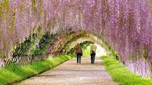 Spring Garden Wallpaper In 1920x1080 Spring Pictures Spring Wallpaper Free Spring Wallpaper