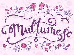 Thank you for your attention, and thank you, in advance, for your support for this proposal. Multumesc Thank You By Laura MÄƒhÄƒleanu On Dribbble