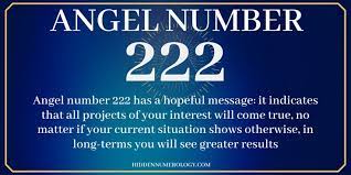 222 Angel Number Twin Flame In 2021 Angel Number Meanings Angel Number 222 Number Meanings