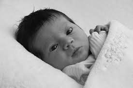 Mathew Andrews Photography