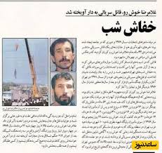 خفاش شب