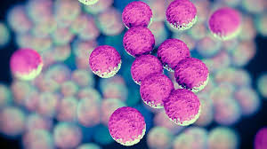 Before your appointment, you might want to write a list that includes: Everything You Need To Know About The Superbug Mrsa Everyday Health