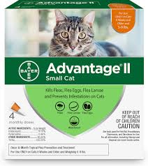 Advantage Ii Flea Treatment For Small Cats 5 Lbs To 9 Lbs Ferrets Chewy Free Shipping