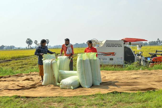 2026 යල කන්නයේ වී මිලදී ගැනීමට රු. මිලියන 7500 ක පරිපූරක ඇස්තමේන්තුව පාර්ලිමේන්තුවේදී සම්මතයි!