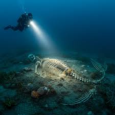 🧿 "Before I Die, I Need To Tell The Truth" — James Cameron's Shocking  Revelation About His Mariana Trench Expedition That Could Rewrite Oceanic  History, Expose Hidden Mysteries, and Spark Global Controversy!