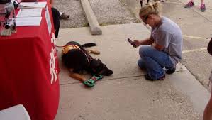 We're making some changes to your favorite local pet page and are evolving from the newsletter concept to a social looking for something to do this weekend? Cincinnati Natural Foods Hosts Pet Adoption Event June 16