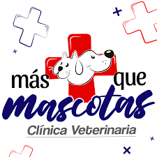 veterinaria Mas Que Mascotas