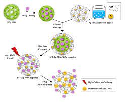 Pma wird meist in pillenform als ecstasy verkauft, so dass die konsumierenden nicht wissen. Molecules Free Full Text Plasmon Enhanced Controlled Drug Release From Ag Pma Capsules