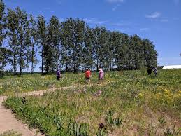 The iris farm is located in traverse city. The Iris Farm In Michigan Is A Beautiful Spring Destination