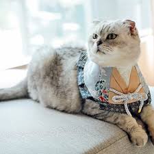 和服領巾貓狗適用可自選花色 meow手作樂園 衣 帽 pinkoi pet fashion pets youtube design