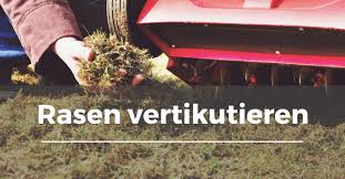 Ab wann sie vertikutieren sollten und auch wie sie vertikutieren, erklärt ihnen dieser artikel. Rasen Vertikutieren Garten Schule