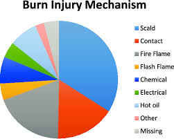 Pie Chart Showing The Mechanism Of Burn Injury Download