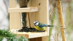 Dank der vorgefertigen fichtenholzteile können auch jüngere kinder beim zusammenbauen helfen. Futterstation Fur Heimische Vogel Bauen Ndr De Ratgeber Garten