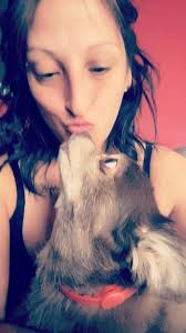 Deeper dog bark since Thursday, CKCS owner