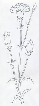 25 Beautiful Flower Drawing Information Ideas Dessin Fleur Peinture Fleurs Comment Dessiner Une Fleur