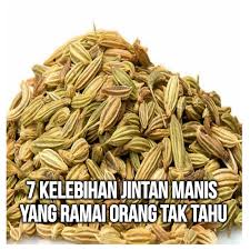 Dahulu jintan putih hanya bisa dutemui di wilayah asia tenggara. Maria Firdz Lifestyle Blogger