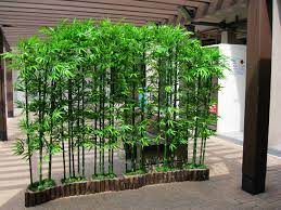 We did not find results for: 10 Bamboo Garden Ideas Most Of The Awesome And Lovely Bamboo Landscape Easy Backyard Landscaping Bamboo Garden