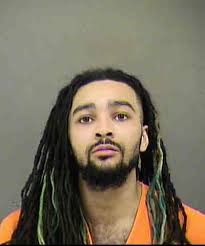 Reginald Alston Felony Probation Violation