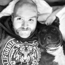 How Can Stoicism Be Reconciled With Anarchy?