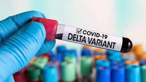 The delta variant first seen in india now appears to be dominating infections in south africa, de oliveira of the network for genomic surveillance in south africa told a virtual briefing. Iewsndyrzhkeum