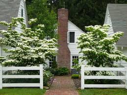 Deer resistant trees tend to be left alone by deer more so than any other species. 7 Deer Resistant Flowering Trees To Plant This Fall