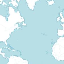 Image result for Lindackeria fragrans