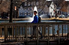 Image result for auto fotografia