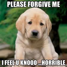 40 Adorable I M Sorry Memes People Won T Be Able To Resist Sayingimages Com Sorry Memes Forgive Me Meme Cute Dog Memes