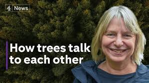Renowned B.C. forest ecologist fielding criticism of her life's work.