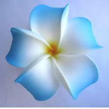 Accessories 2 For 6 Blue Plumeria Flower Hair Clip Accessories Blue Clip Flower Hair Plumeria Hawiian Flowers Plumeria Flowers Plumeria