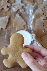 Biscuits Au Pain D Epices Caroline Cloutier Nutritionniste