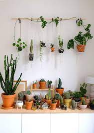 Which plant is best for your home? 6 Indoor Garden Ideas That Will Convince You To Become A Plant Person Indoor Plant Wall Hanging Plant Wall Hanging Plants Indoor