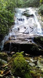 Happiness seems to have found jane at last, but could mr. Peace In The Jungle Air Terjun Kubang Gajah Sofea Jane Kemensah