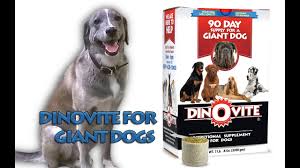 dinovite for giant dogs you